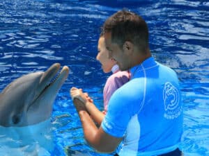 curso-online-terapia-asistida-con-animales
